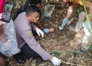 Warga Riau Dihebohkan dengan Penemuan Tulang Manusia di Kebun Sawit