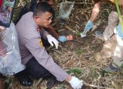Penemuan Tengkorak Manusia di Inhu, Begini Kata Polisi