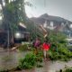 Pohon tumbang di Kota Padang, Senin (23/12). (Foto: BPBD Padang)