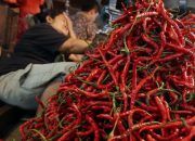 Harga Cabai Merah di Sumbar Tembus Rp100 Ribu per Kg, Pasokan Menurun