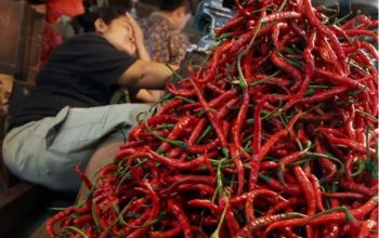 Ilustrasi cabai merah. (Foto: Istimewa)