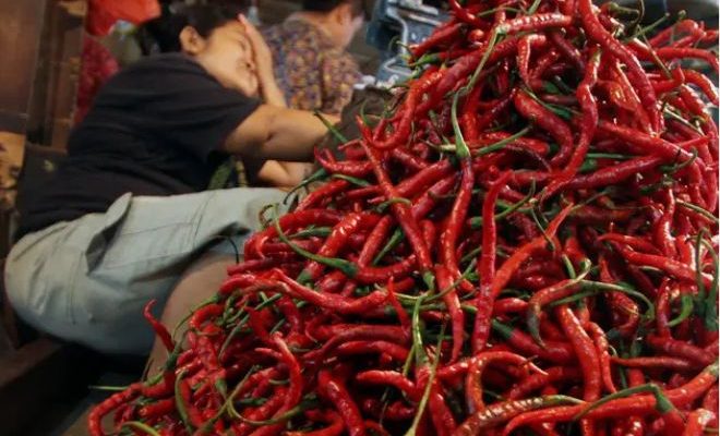 Harga Cabai Merah di Sumbar Tembus Rp100 Ribu per Kg, Pasokan Menurun