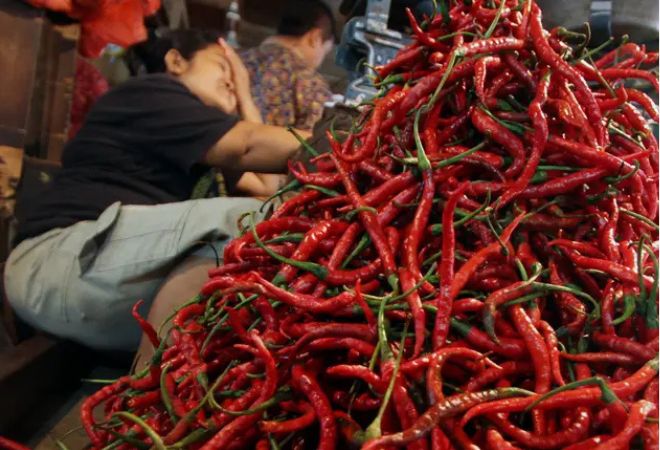 Ilustrasi cabai merah. (Foto: Istimewa)