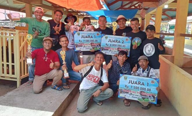 Fashion Show Kambing, Cara Unik Ari Farm Pukau Pengunjung Expo di Padang Panjang