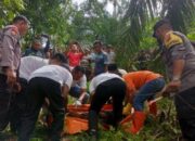 Warga Dharmasraya Geger, Penemuan Mayat di Tengah Kebun Sawit
