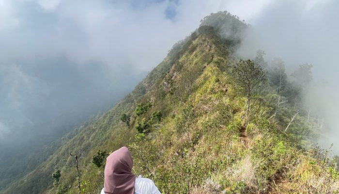 Pesona Gunung Puncak Mega Puntang, Surga Tersembunyi di Bandung