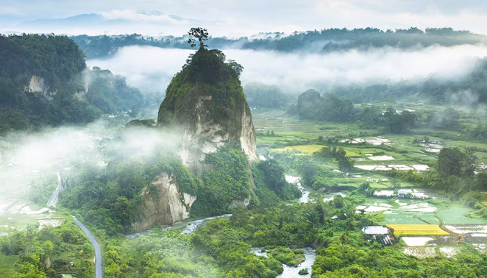 Keindahan Panorama Ngarai Sianok, Pesona Alam Minangkabau