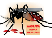 Kasus DBD di Pariaman 2024 Meningkat, Dinas Kesehatan Dorong Warga Terapkan 3M Plus