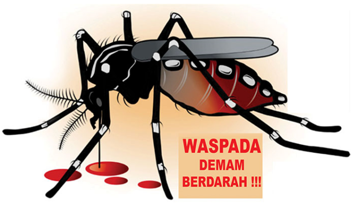 Kasus DBD di Pariaman 2024 Meningkat, Dinas Kesehatan Dorong Warga Terapkan 3M Plus