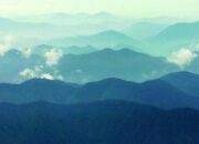 Eksplorasi Keindahan Hutan Tropis Bukit Barisan