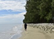 Pantai Tanjung Lapin, Surga Tersembunyi di Selat Malaka