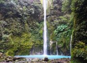5 Aktivitas Menarik yang Bisa Dilakukan di Taman Wisata Alam Sibolangit