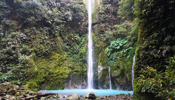 5 Aktivitas Menarik yang Bisa Dilakukan di Taman Wisata Alam Sibolangit