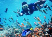 Keindahan Pantai Iboih, Surga Tersembunyi di Ujung Barat Indonesia
