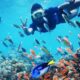 Snorkeling [Foto : jadesta.kemenparekraf.go.id]