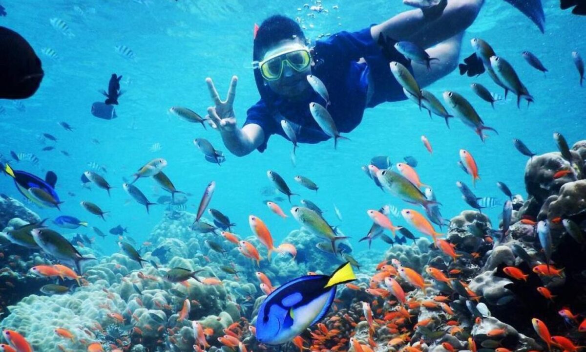 Snorkeling [Foto : jadesta.kemenparekraf.go.id]