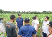 Kapolda Riau Tinjau Lahan Ketahanan Pangan, Dukung Program Prioritas Presiden