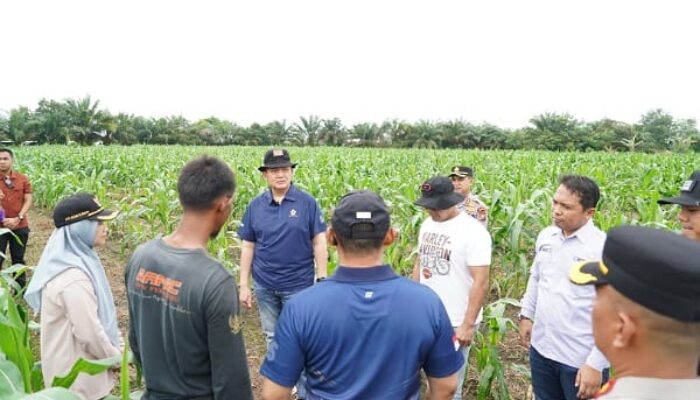 Kapolda Riau Tinjau Lahan Ketahanan Pangan, Dukung Program Prioritas Presiden