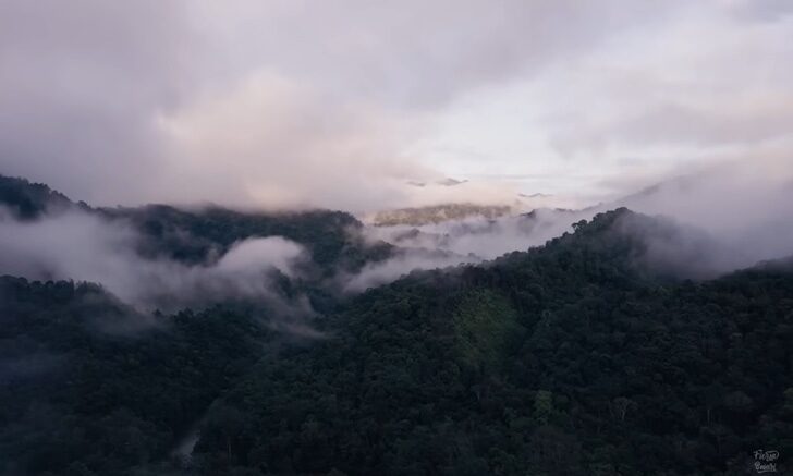 Gunung Djadi, Gunung pertama di Riau [Foto: YouTube/Ekspedisi Atap Negeri/Fiersa Besari]