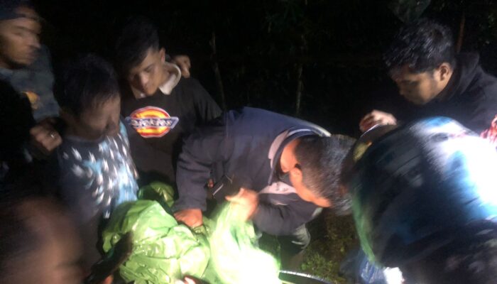 Polres Agam Bongkar Jaringan Pengedar Narkoba, Dua Pelaku Dibekuk di Kebun Sawit
