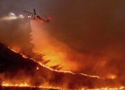 Kebakaran Hebat di Los Angeles, Pakar Sebut Penyebabnya Karena Ini