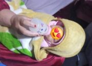 Ditinggalkan di Depan Rumah, Bayi Laki-Laki Ditemukan Dalam Kardus di Solok