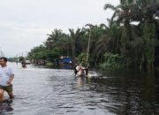 Banjir Landa Desa Lubuk Kembang Bunga di Ukui, 61 Rumah Terendam