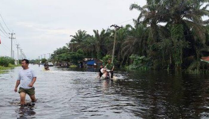 Banjir Landa Desa Lubuk Kembang Bunga di Ukui, 61 Rumah Terendam
