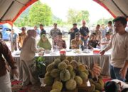 Gubernur Sumbar: Festival Durian Solok Selatan Jadi Ajang Promosi Potensi Lokal