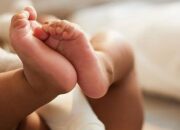 Polisi Ungkap Kasus Perdagangan Bayi di Pekanbaru, Enam Tersangka Diamankan