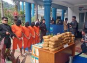 BNNP Sumbar Bongkar Peredaran Ganja Bermodus Bumbu Tradisional Minang