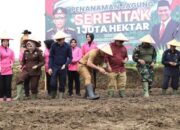 Padang Panjang Jadi Lokasi Strategis Penanaman Jagung Nasional