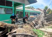 Pohon Sawit Raksasa Tumbang, Pagar SMPN 21 Padang Rusak