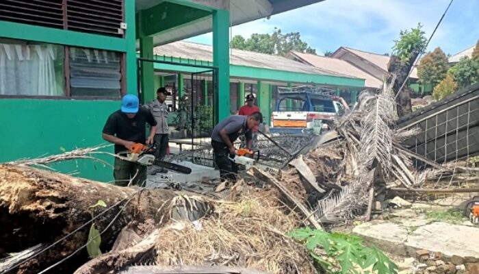 Pohon Sawit Raksasa Tumbang, Pagar SMPN 21 Padang Rusak
