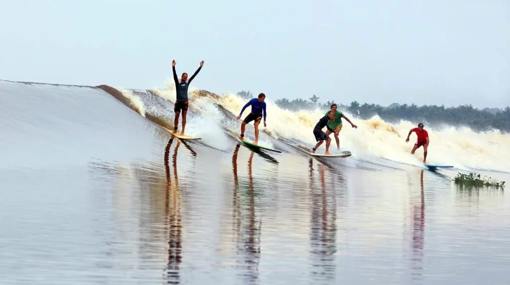 Selancar di Sungai Kampar Ombak Bono [Foto:Istimewa]