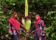 Tadabur Alam, Ketua TP PKK Agam Inspirasikan Hidup Harmonis Dengan Alam