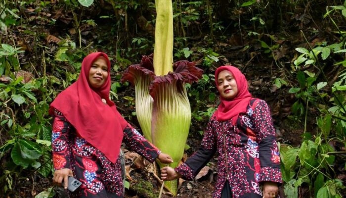 Tadabur Alam, Ketua TP PKK Agam Inspirasikan Hidup Harmonis Dengan Alam