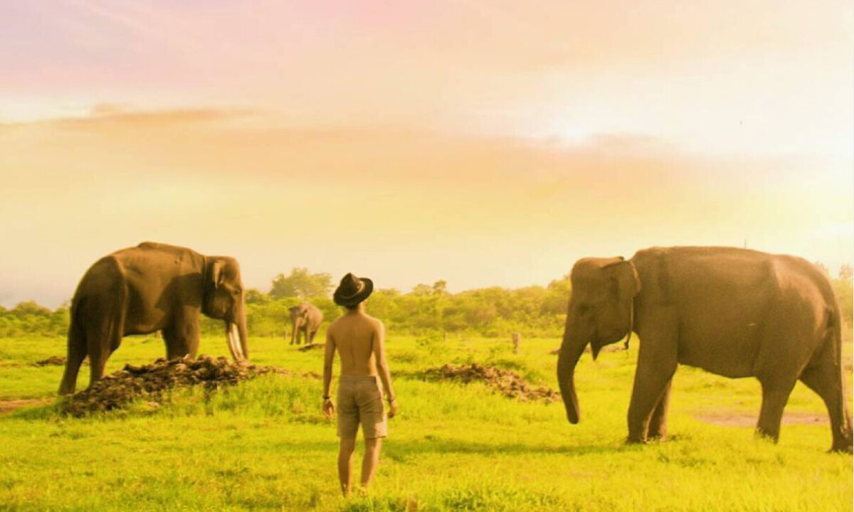 Melihat keindahan gajah di Way Kambas dari dekat [Foto: instagram/indonesiavisuals]