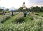 Menikmati Keindahan Desa Wisata Okura di Pekanbaru