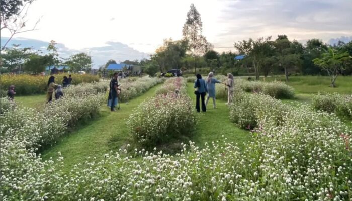 Menikmati Keindahan Desa Wisata Okura di Pekanbaru