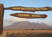 Keajaiban Taman Nasional Baluran yang Dijuluki Afrika van Java