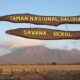 Taman Nasional Baluran Savana Bekol [Foto: EkoKintokoKusumo]