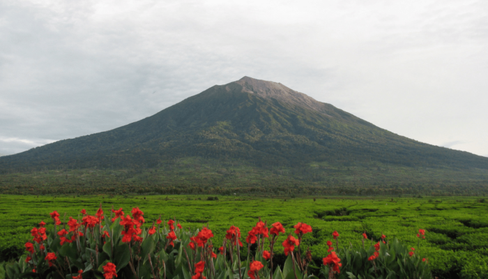 Gunung Kerinci Puncak Tertinggi di Sumatra yang Menantang