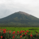 Keindahan Gunung Kerinci [Foto: Wikipedia]