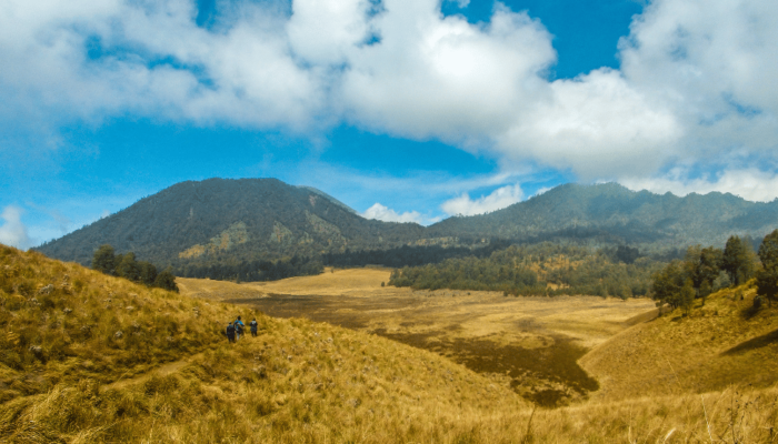Mahakarya Alam di Puncak Tertinggi Jawa