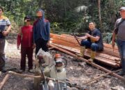 Polsek Singingi Hilir Tangkap 7 Pelaku Illegal Logging di Hutan Rimbang Baling
