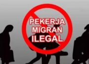 Empat Daerah di Riau Jadi Jalur Pengiriman PMI Ilegal ke Malaysia