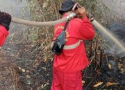 Lahan Gambut di Dumai Terbakar, Petugas Kesulitan Padamkan Api