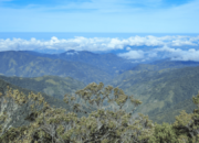 Gunung Latimojong Puncak Tertinggi di Sulawesi yang Menantang