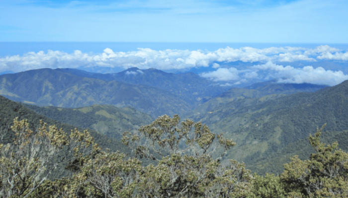Gunung Latimojong Puncak Tertinggi di Sulawesi yang Menantang